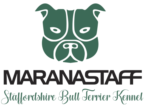 Maranastaff - Staffordshire bull terrier štěňata
